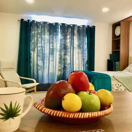 شقة Imowemo Multifuncional Penthouse *